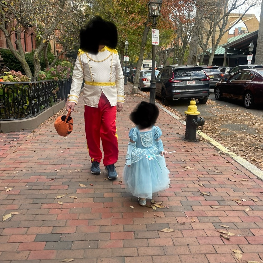 Prince Charming Men’s Costume (L)